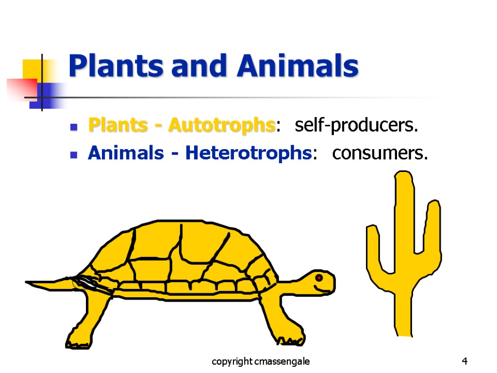 4 Plants and Animals Plants - Autotrophs: self-producers. Animals - Heterotrophs: consumers. copyright cmassengale